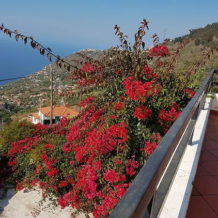 Madeira Gina's Village Holiday home *