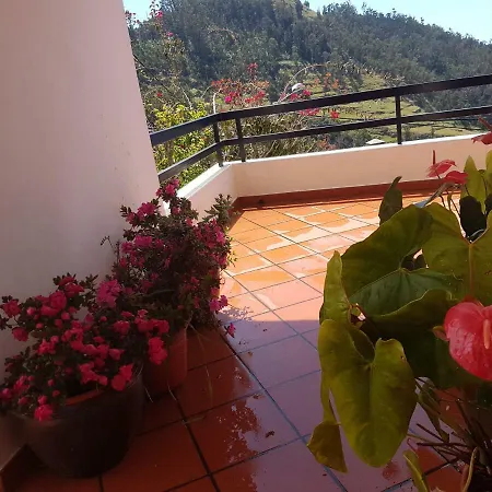 Madeira Gina's Village